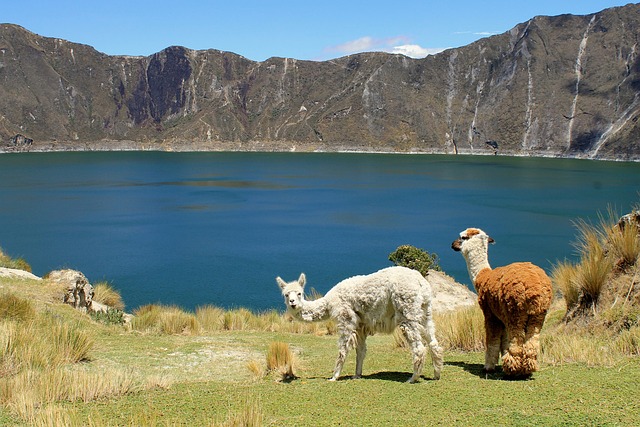 Eco-Friendly Travel Destinations