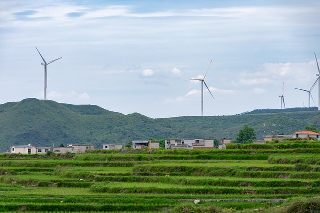 What are the 17 Sustainable Development Goals?